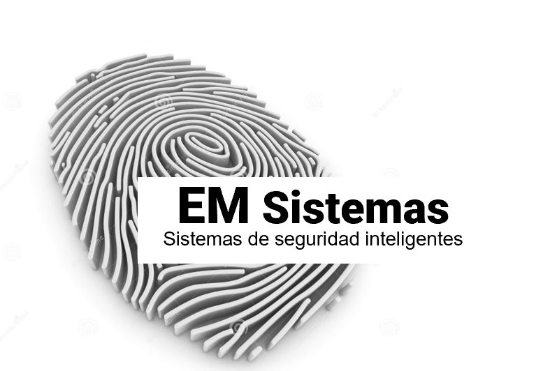 EM Sistemas